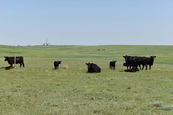 Wright’s Farm and Ranch