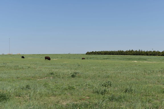 Wright’s Farm and Ranch