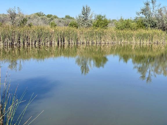 Windover Waterfowl Ranch