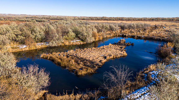 Windover Waterfowl Ranch