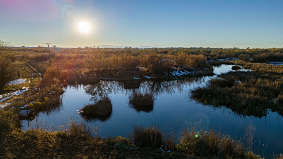 Windover Waterfowl Ranch