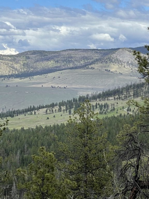 Lockman Ridge Lookout