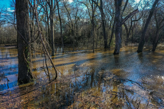 Twin Creeks Ranch  –  Fannin County, TX