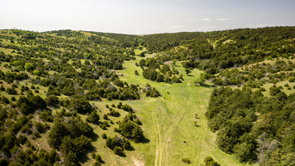 Lincoln County Elk & Wildlife