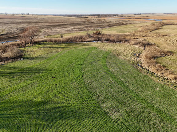 Appanoose Creek Farm