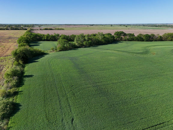 Appanoose Creek Farm