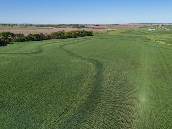 Appanoose Creek Farm