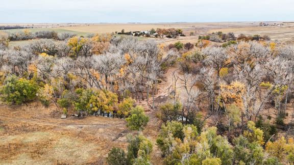 Prairie Dog Creek Farm and Hunt