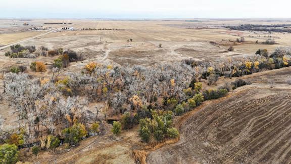 Prairie Dog Creek Farm and Hunt