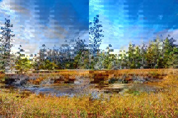 M & B Ranch