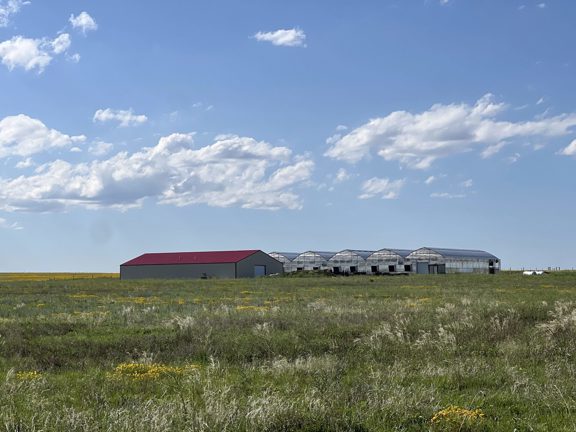 Yoder Farms and Greenhouses