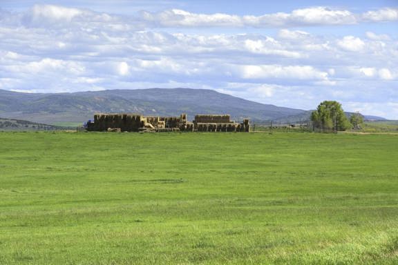 Willow Creek Ranch Colorado