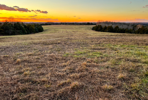 Barren Fork Ranch