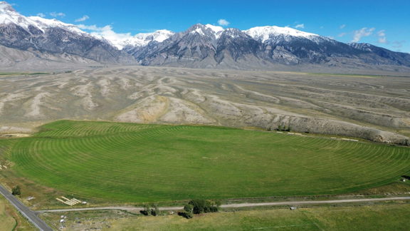 Mackay Farm Ground