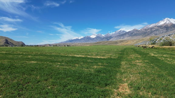 Mackay Farm Ground