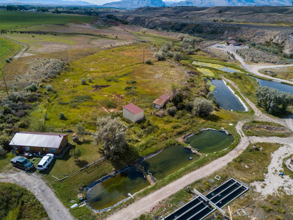 Cody Wyoming Trout Ranch