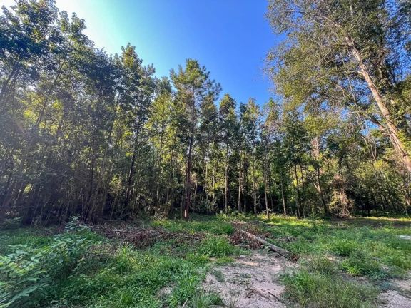 65 Acres | Off Hardy Bottom Road