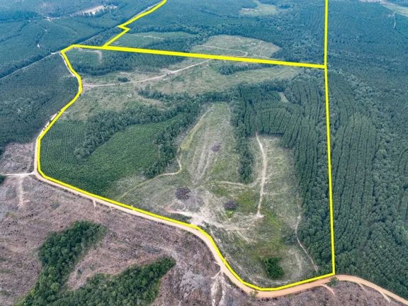 445 Acres | T-3 | Bar D Ranch