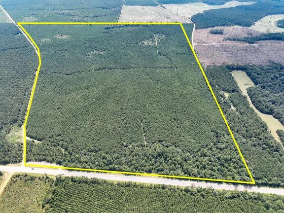 582 Acres | Highway 190 | T-11 (T-10 & T-2) |