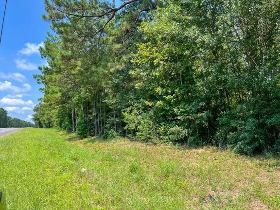 322 Acres | Highway 190 | T-2 | 287023