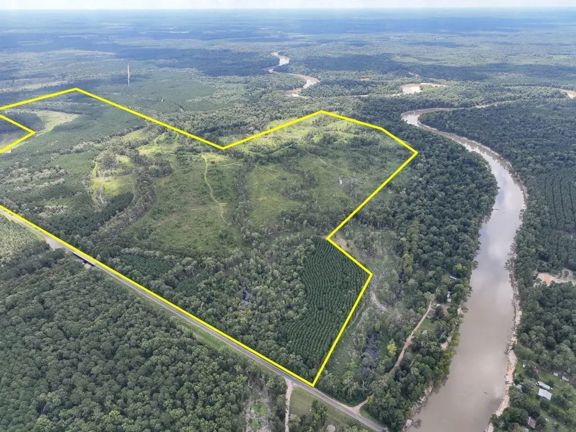 487 Acres | FM 1013 | 287050