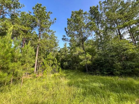 432 Acres | T-6 | FM 2989