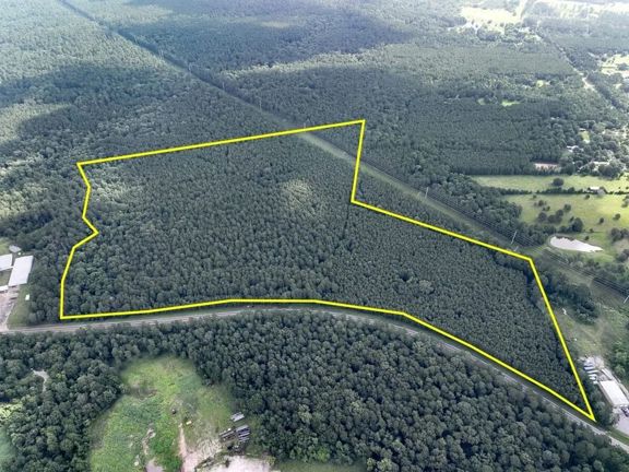 81 Acres | FM 2793
