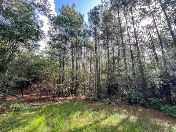 81 Acres | FM 2793
