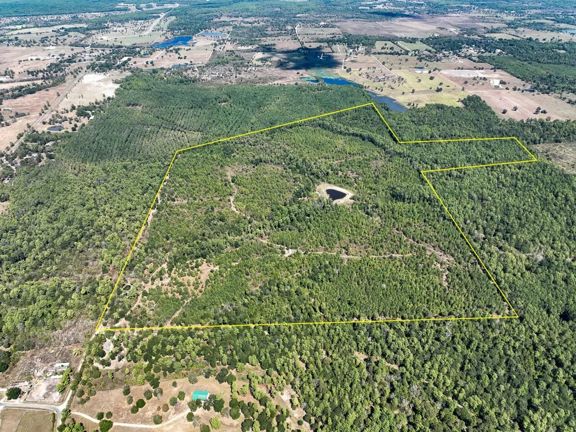164 Acres | Murray Lane