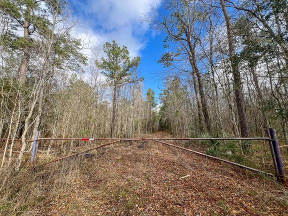 489 Acres | Highway 12/Linscomb Road | 01158
