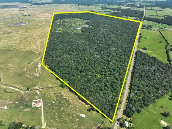 425 Acres | FM 230