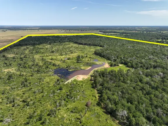 425 Acres | FM 230