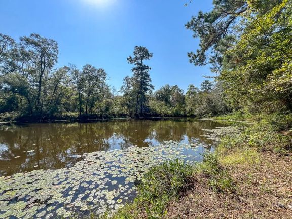 1,726 Acres | Neches River Front
