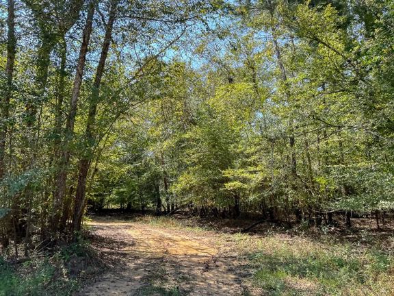 1,726 Acres | Neches River Front
