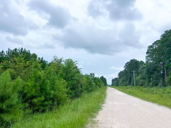 695 Acres | T-4 | CR 2204 | 01286/01287
