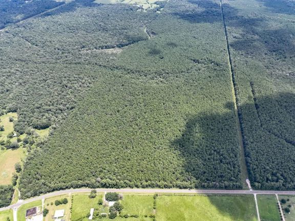 545 Acres | FM 1136 | 01325