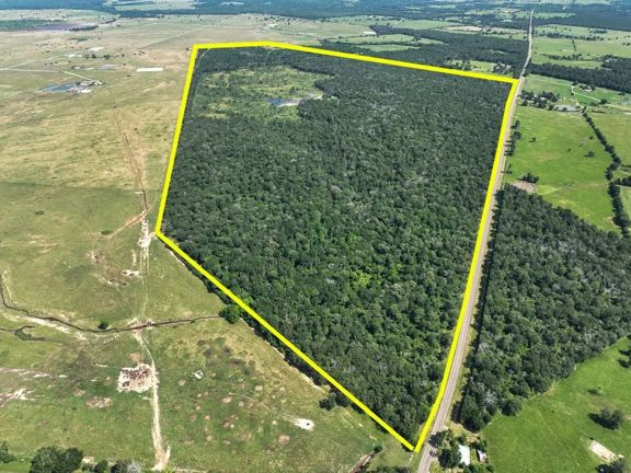 425 Acres | FM 230