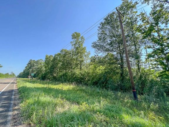1,317 Acres | FM 1008