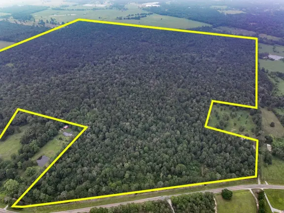 341 Acres | FM 1475