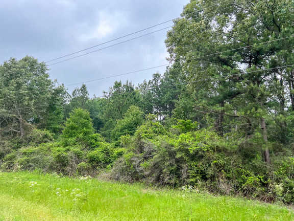 341 Acres | FM 1475