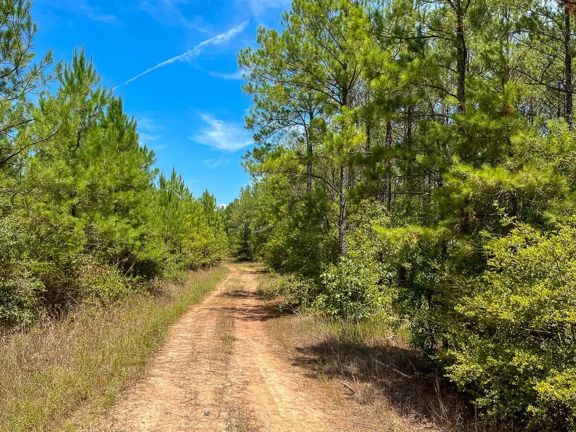 448 Acres | The Game Preserve
