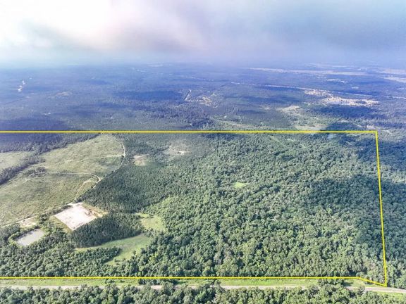 570 Acres | FM 2989 | T-271006-1