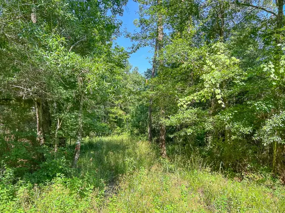 1,334 Acres | FM 1008