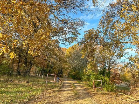 699 Acres | CR 4640 | Maya 1002