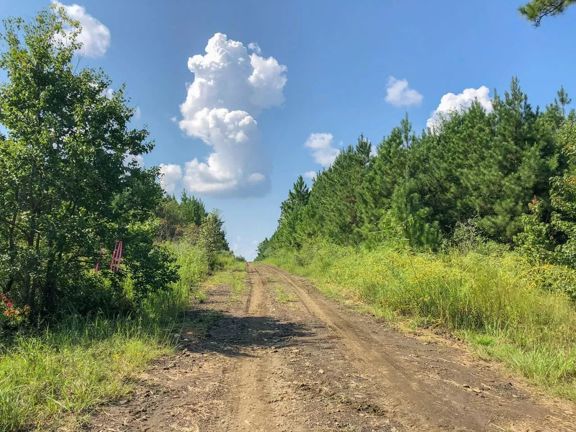 667 Acres | Timber/Recreation