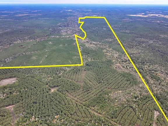667 Acres | Timber/Recreation