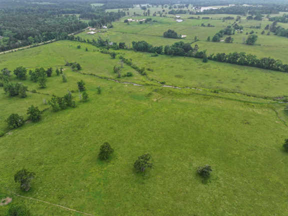 202 Acres | T-3 | FM 2110