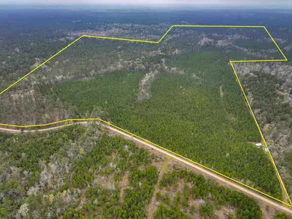 296 Acres | Adjoins National Forest