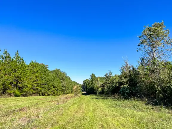 290 Acres | County Road 1090 | T-3