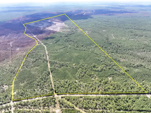 466 Acres | FM 247 | T-8